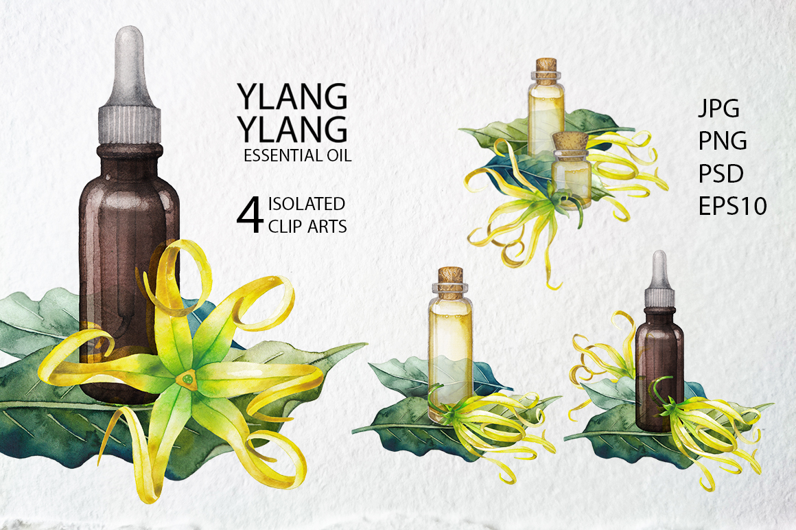 Watercolor Ylang Ylang collection Watercolor Ylang Ylang collection