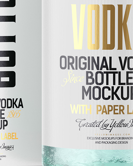 Vintage Vodka Bottle with Box Mockup