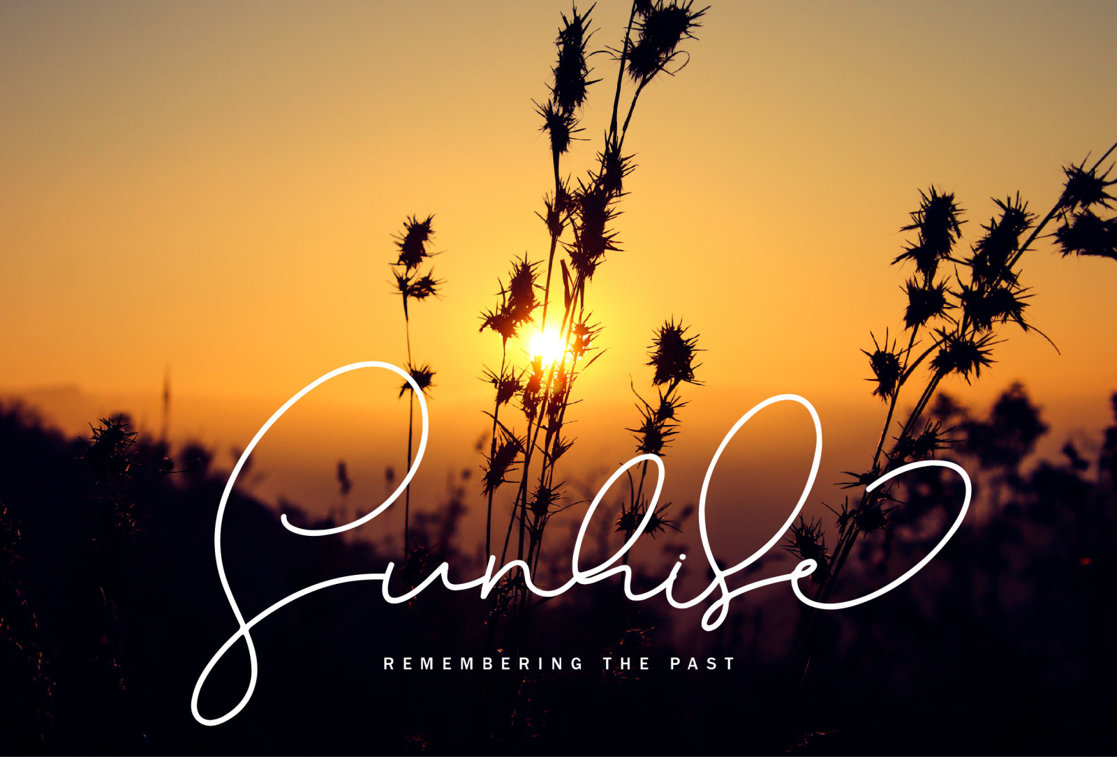 Australlia - A signature font Australlia - A signature font