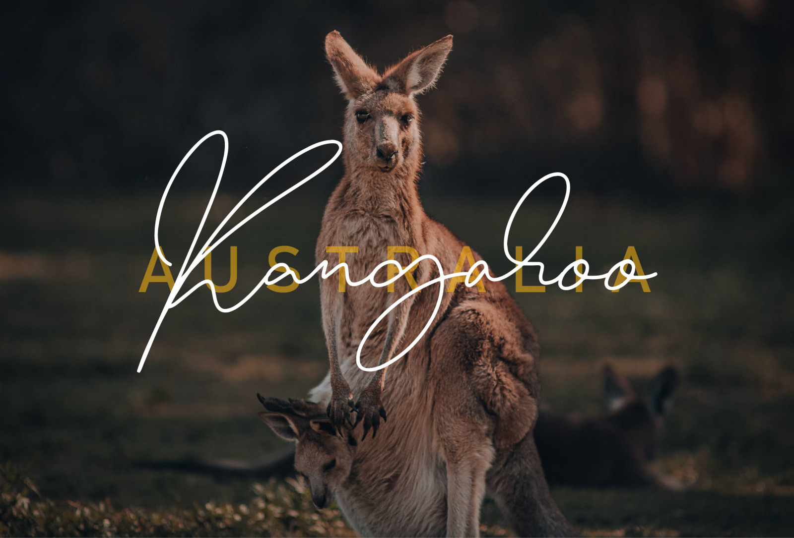 Australlia - A signature font Australlia - A signature font