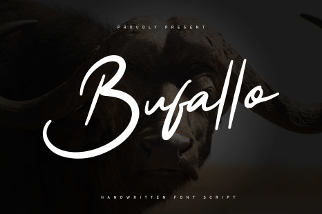 Bufallo - Handwritten font script - Business identity