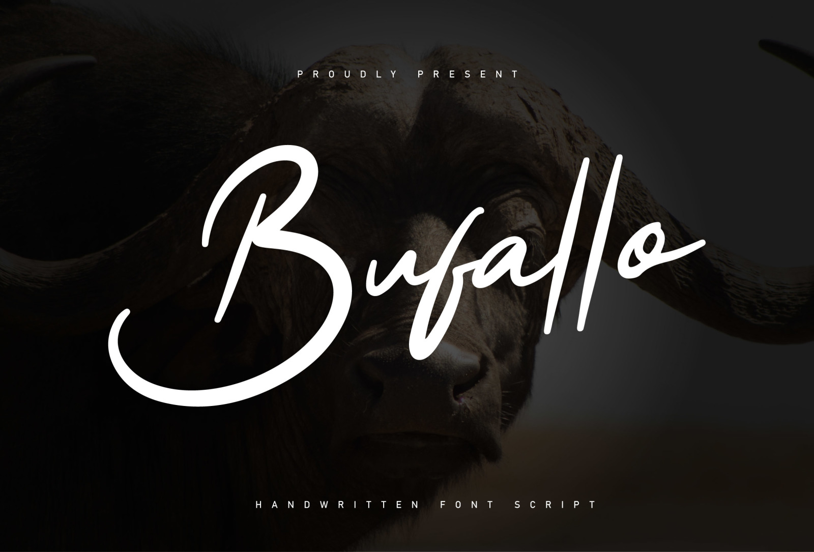 Bufallo - Handwritten font script