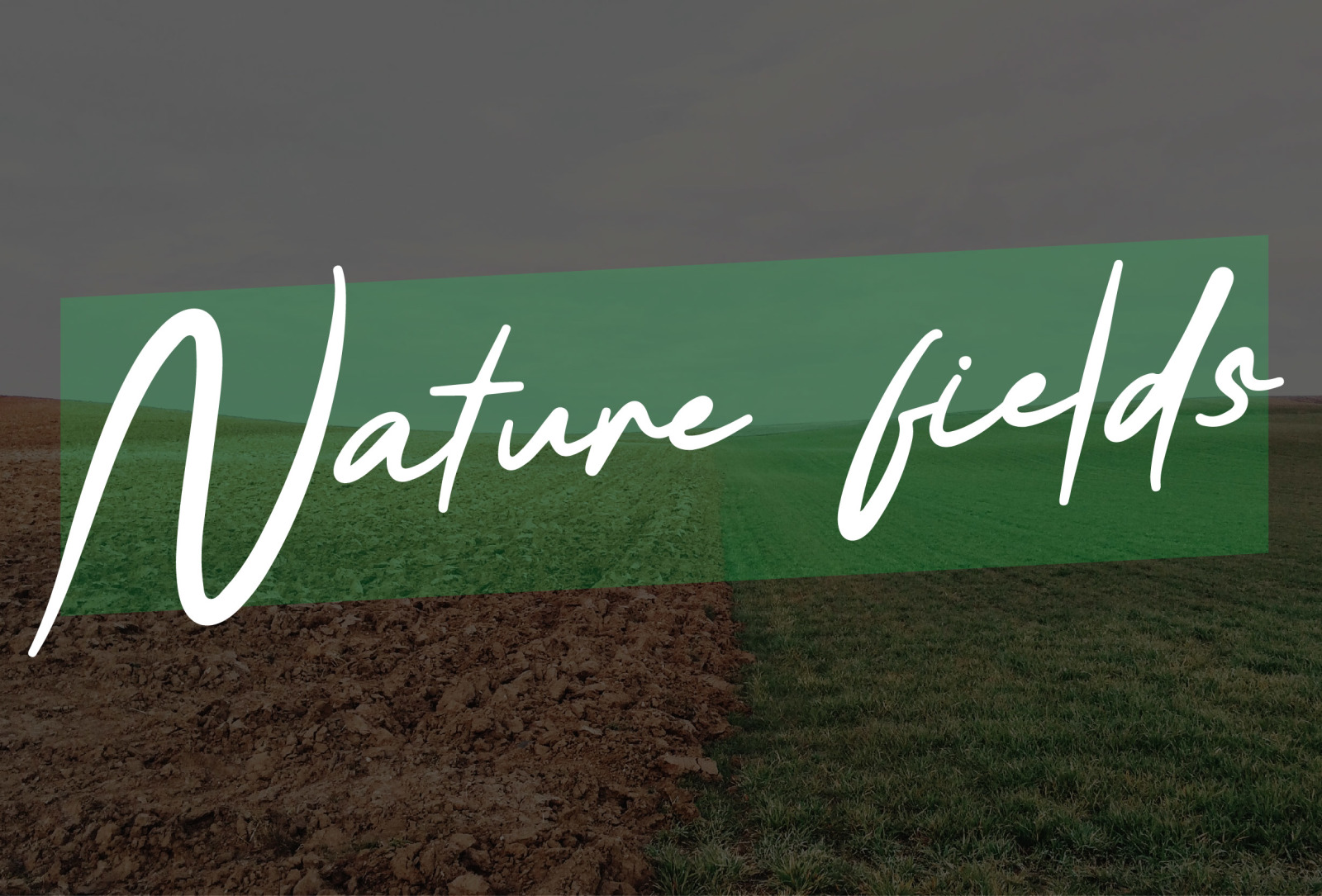 Bufallo - Handwritten font script Bufallo - Handwritten font script