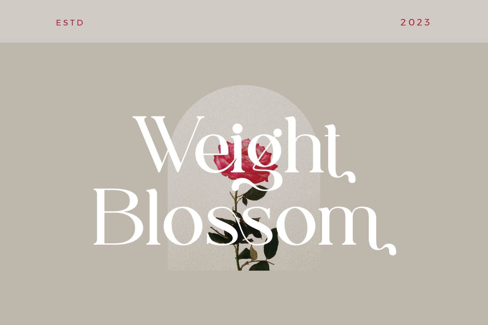 Capella Font Capella Font