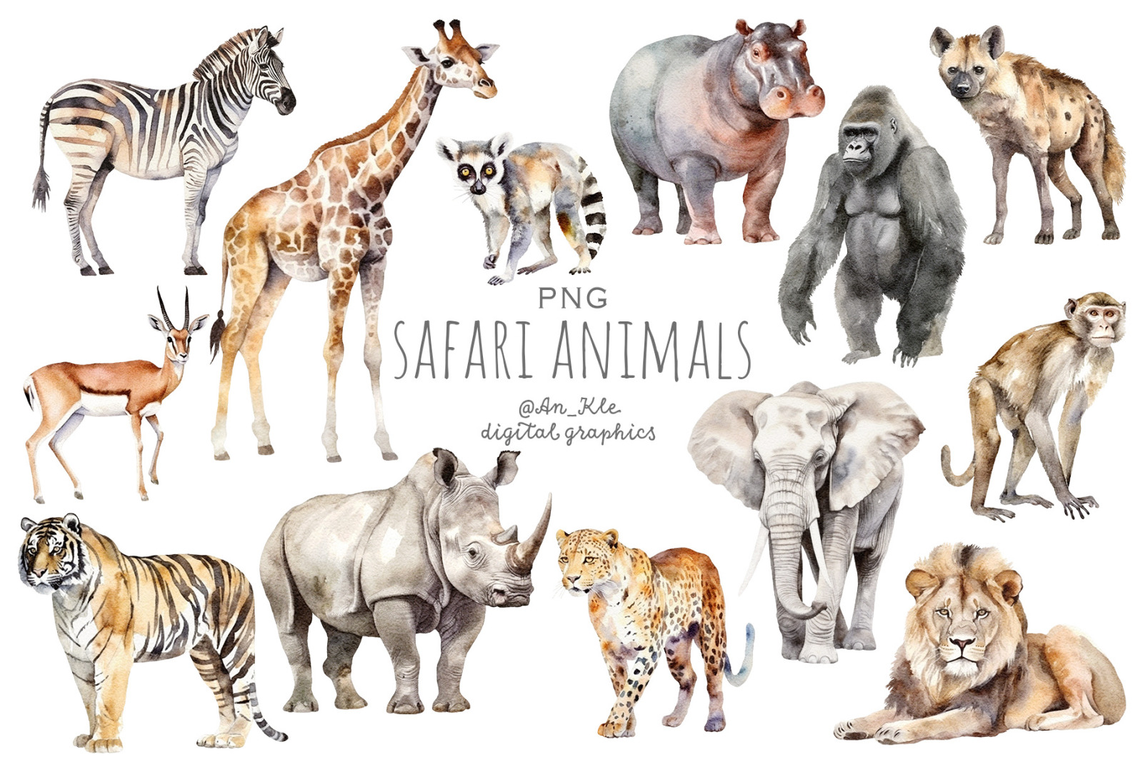 Safari Family Safari Family