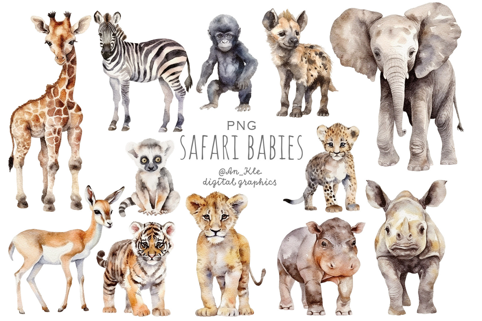 Safari Family Safari Family