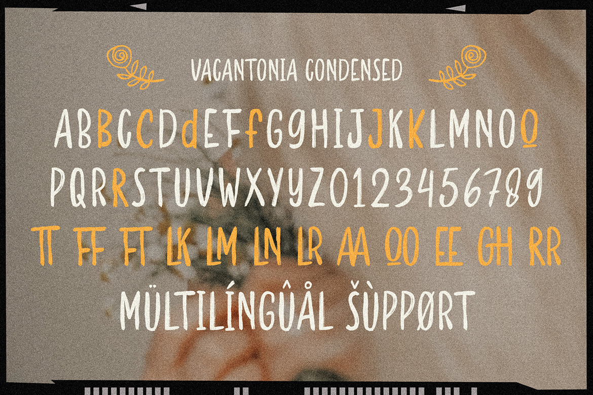 Vacantonia - Brush Display Font Pairing