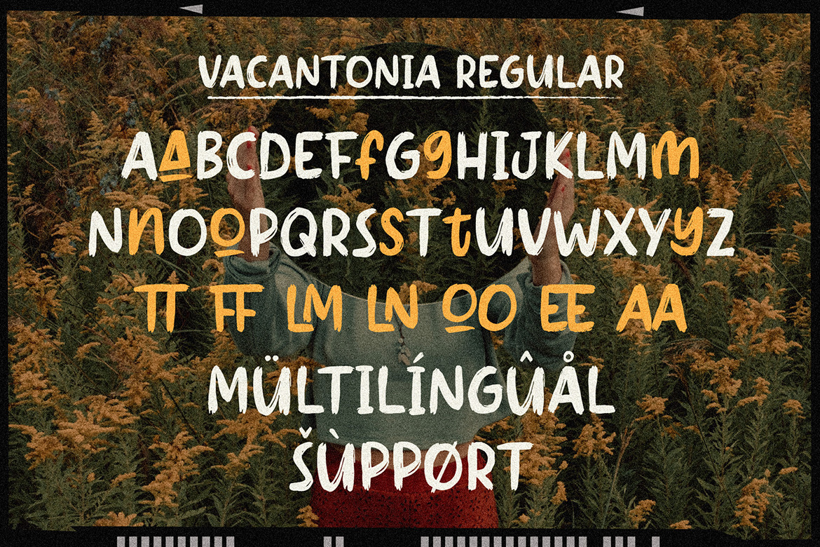 Vacantonia - Brush Display Font Pairing