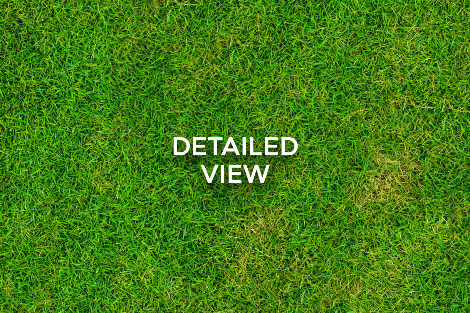 20 Seamless Grass Texture Pack