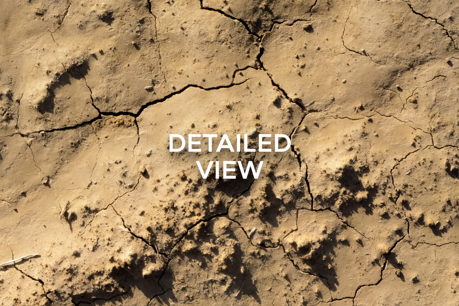 20 Seamless Dirt Texture Pack