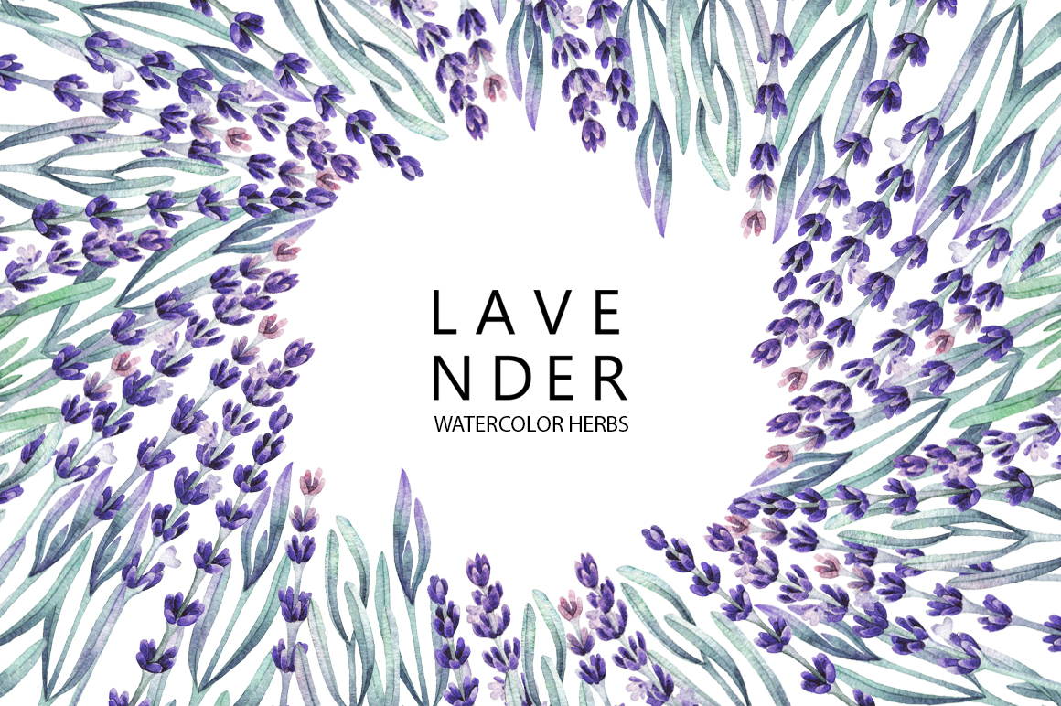Watercolor lavender collection Watercolor lavender collection