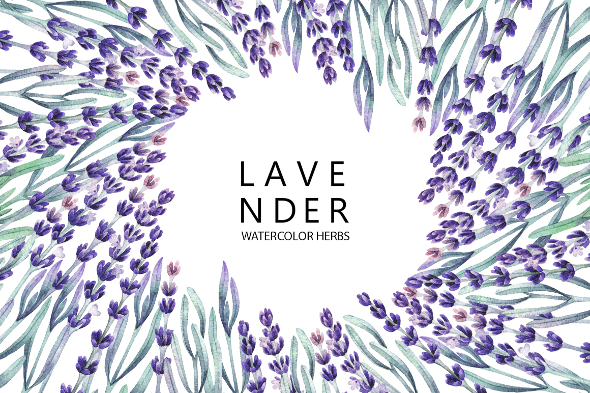 Watercolor lavender collection