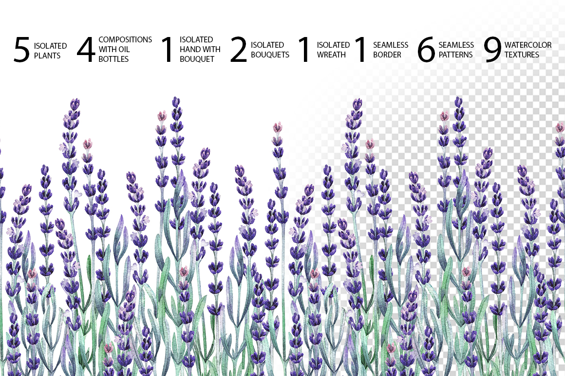 Watercolor lavender collection Watercolor lavender collection