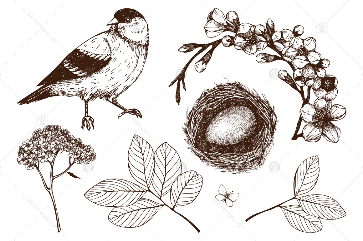 Spring Birds Patterns Collection Spring Birds Patterns Collection