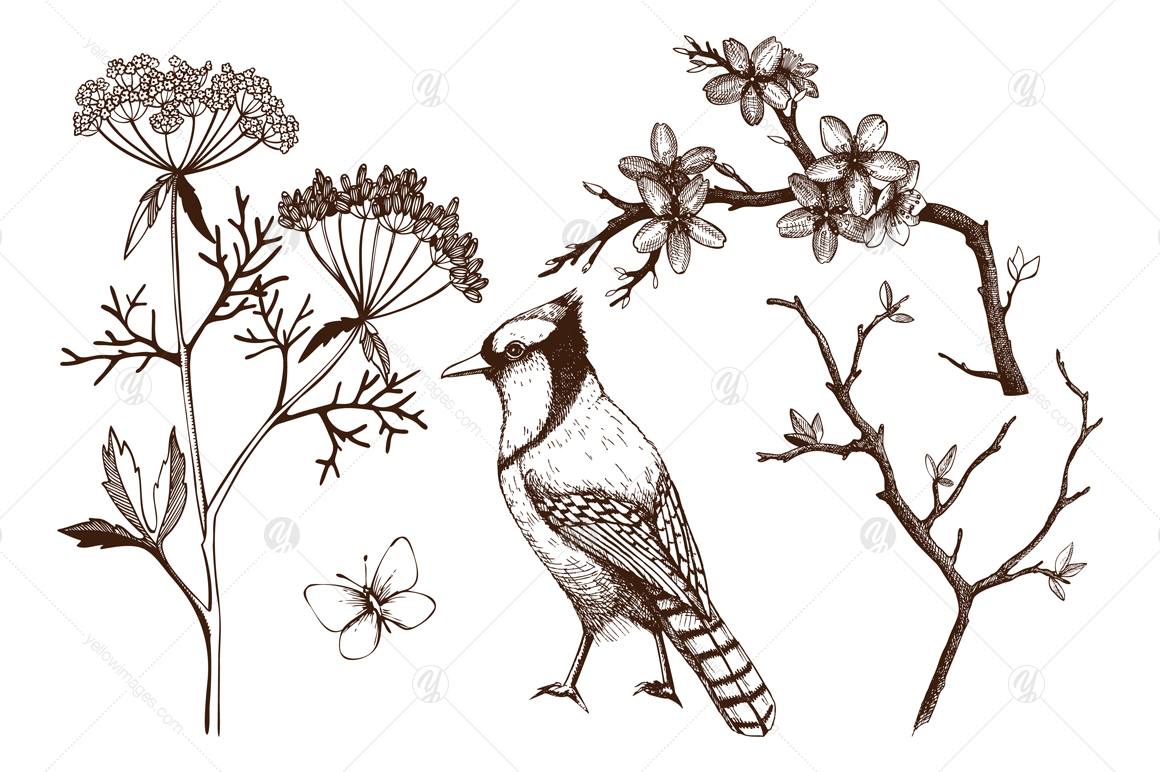 Spring Birds Patterns Collection Spring Birds Patterns Collection
