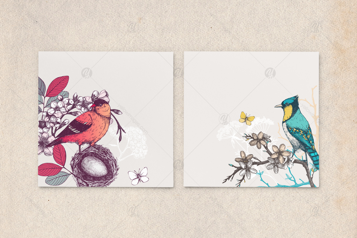 Spring Birds Patterns Collection Spring Birds Patterns Collection