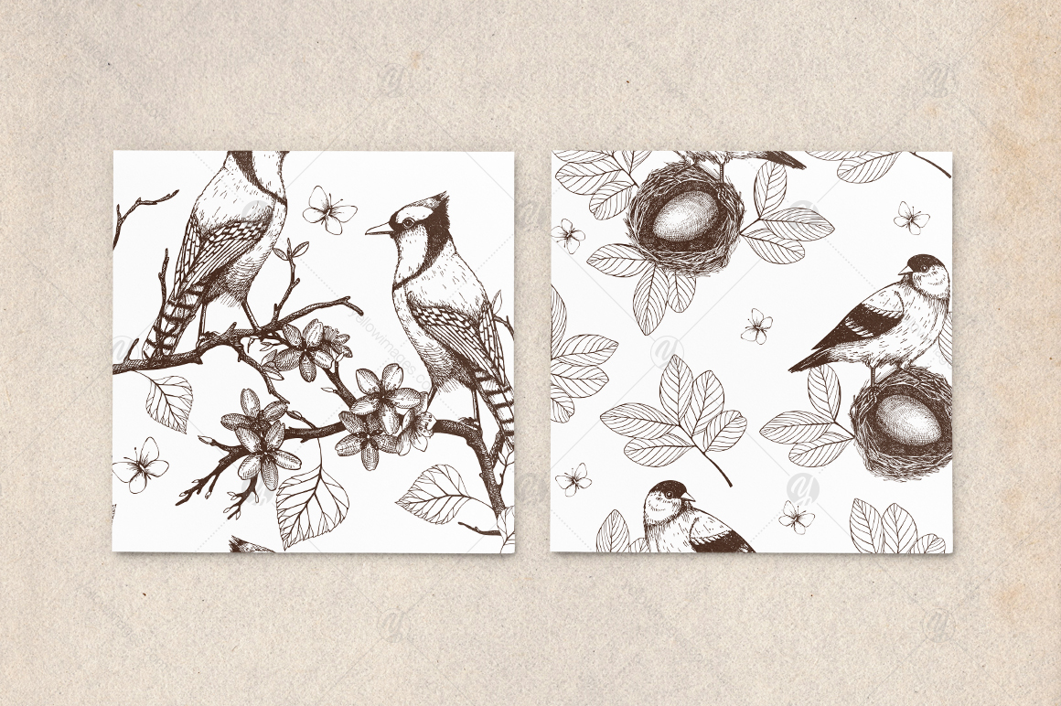 Spring Birds Patterns Collection Spring Birds Patterns Collection