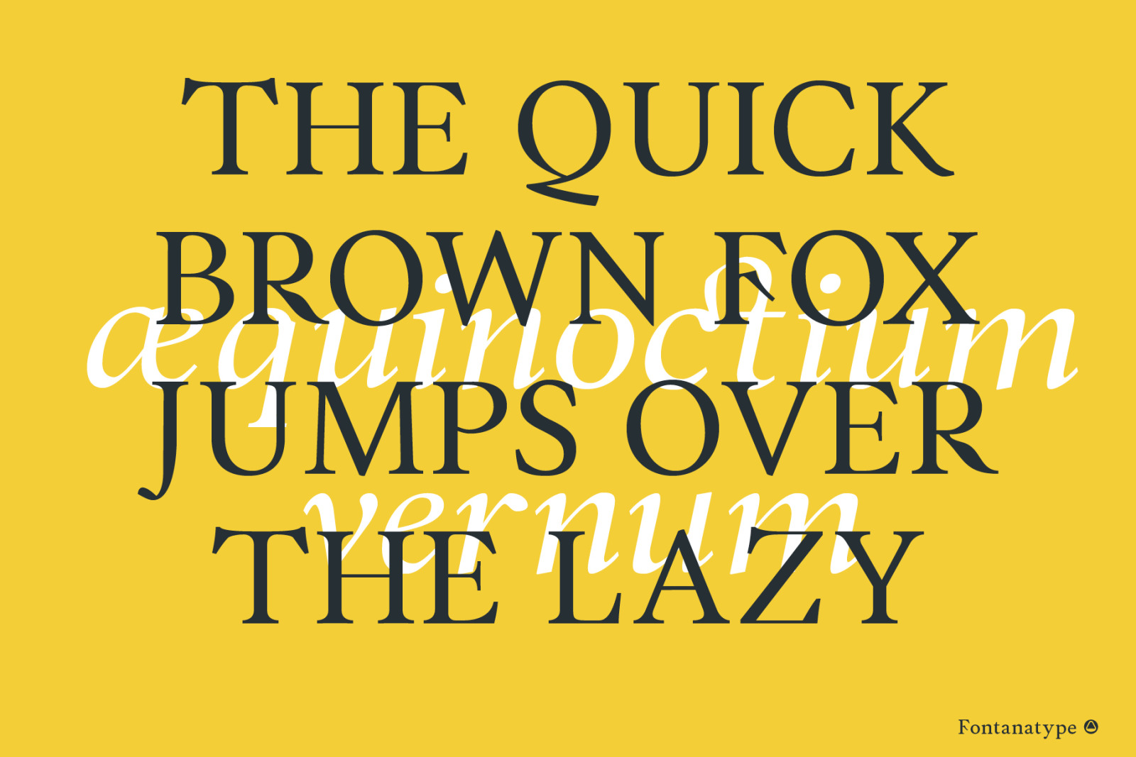 Forint Font Forint Font