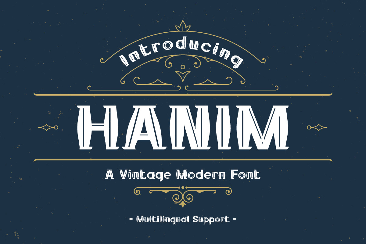 Hanim - Vintage Modern Font Hanim - Vintage Modern Font