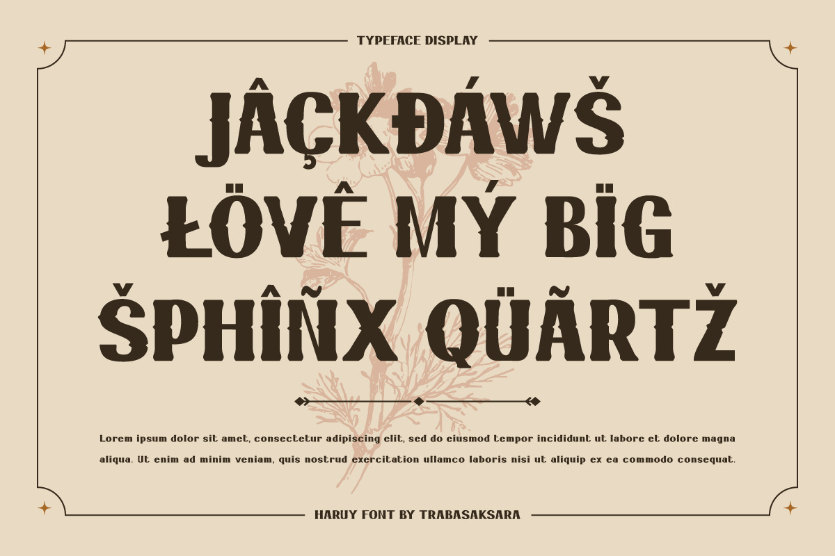 Haruy - Serif Bold Classic Display Font