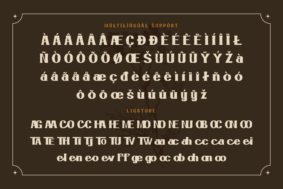 Haruy - Serif Bold Classic Display Font