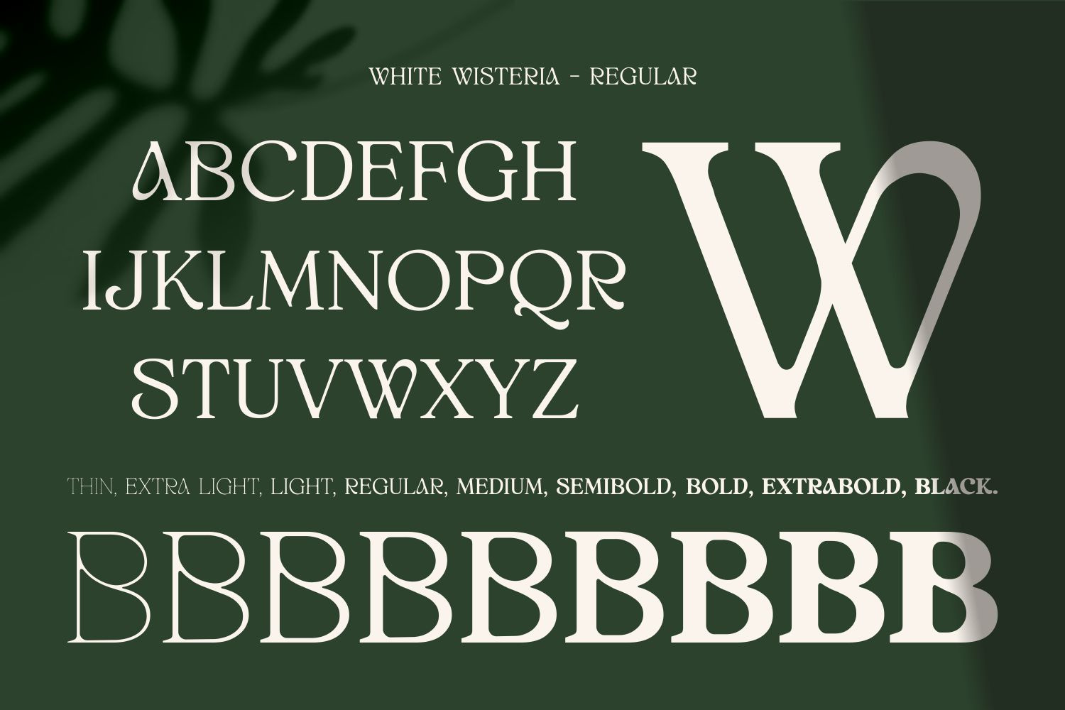 White Wisteria - Elegant Versatile Serif Fonts Family