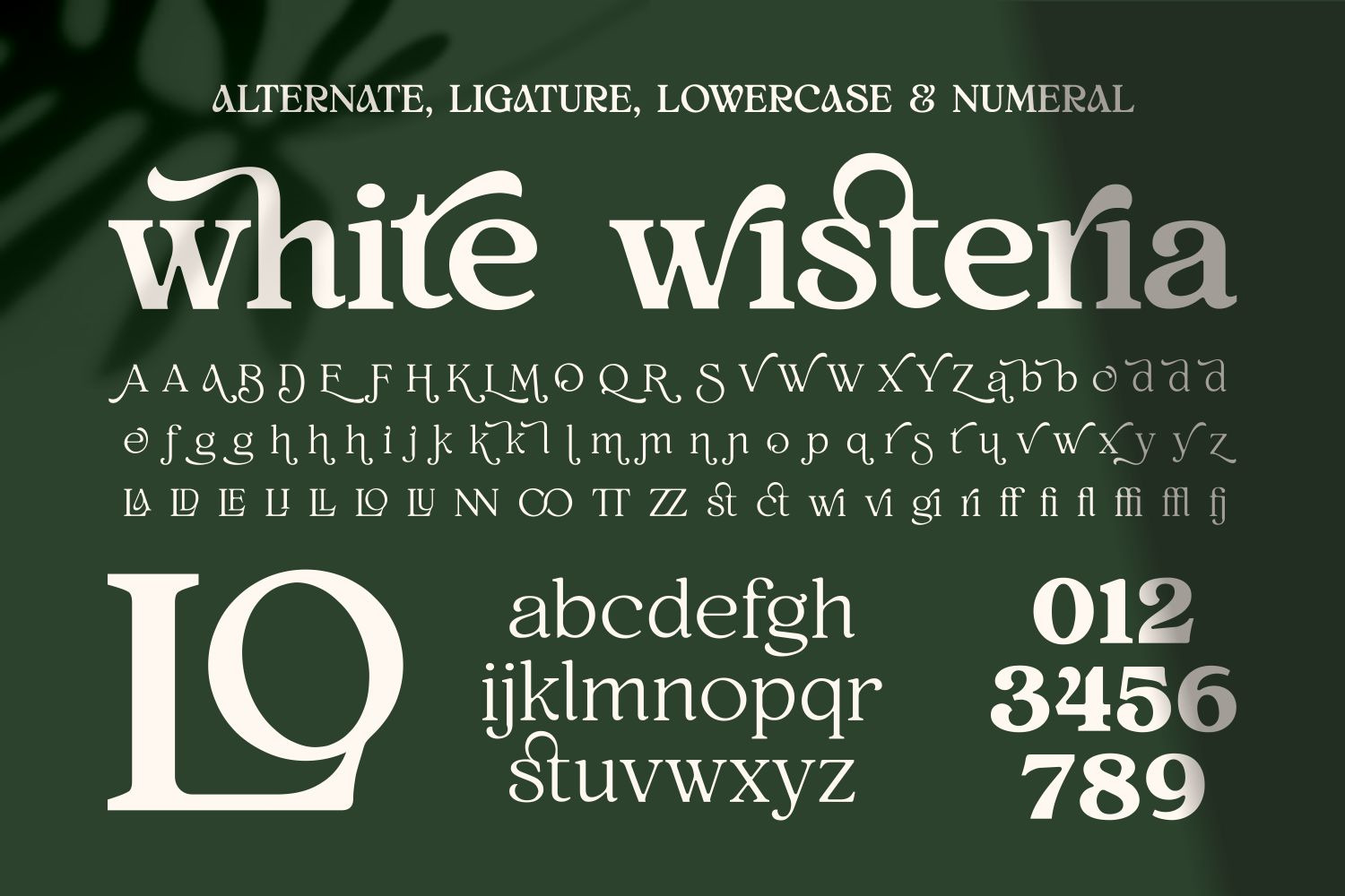 White Wisteria - Elegant Versatile Serif Fonts Family