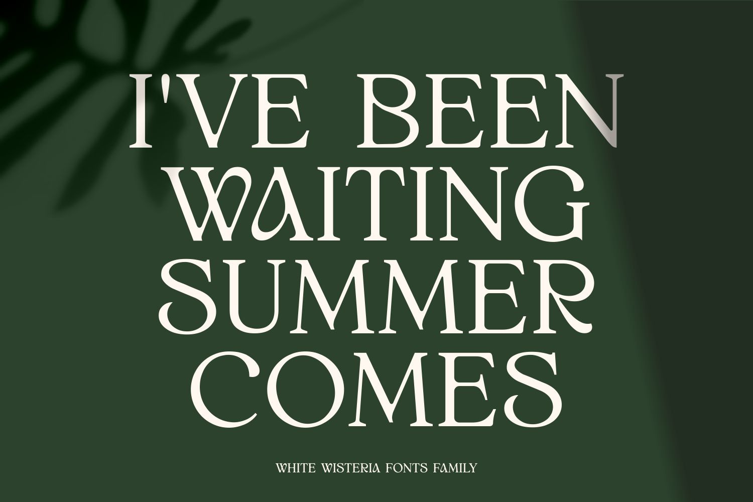 White Wisteria - Elegant Versatile Serif Fonts Family