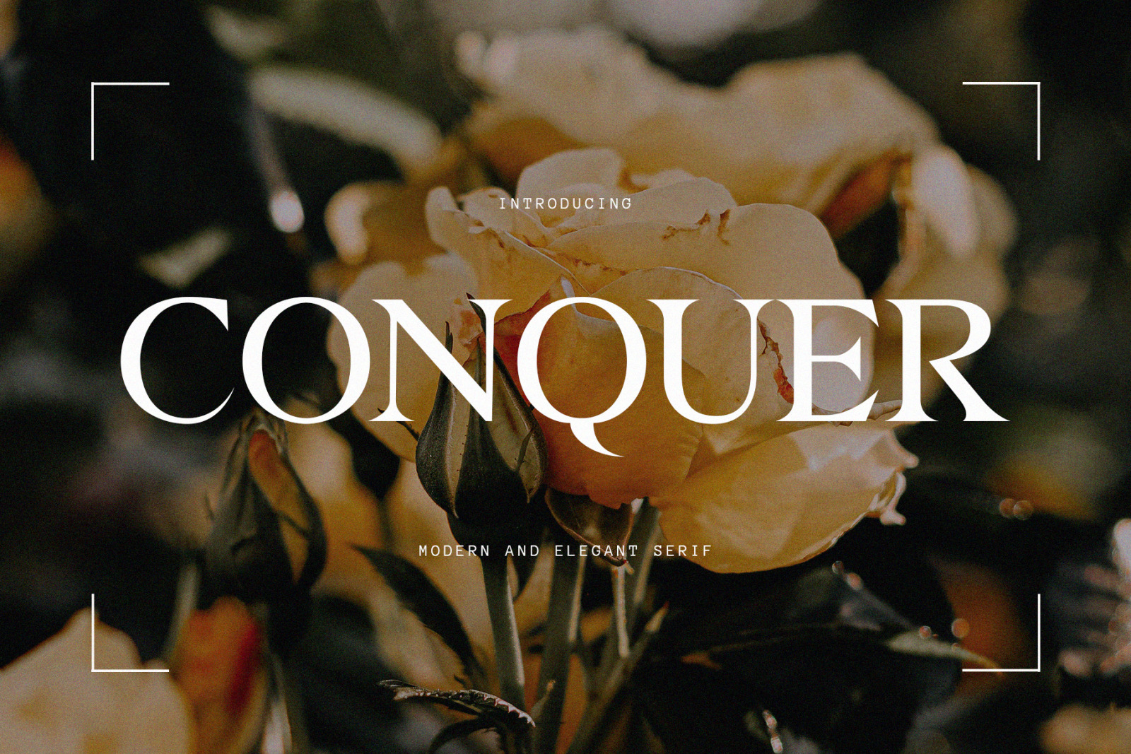 Conquer Modern Font