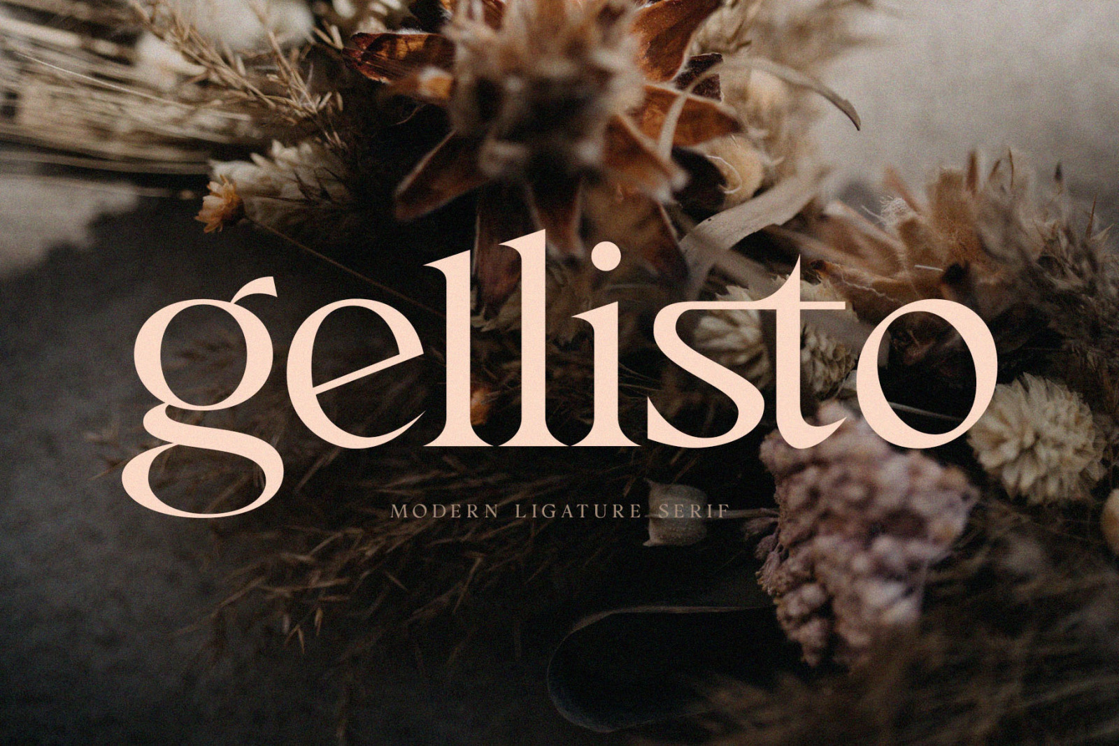 Gellisto Modern Ligature Serif.