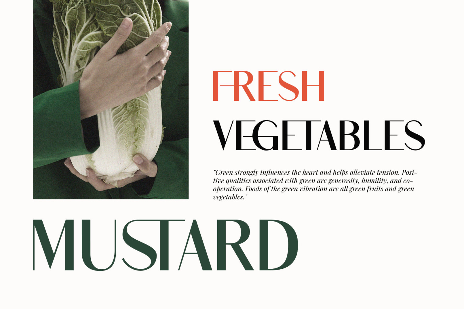 Shaqera Ligature Sans-Serif Shaqera Ligature Sans-Serif