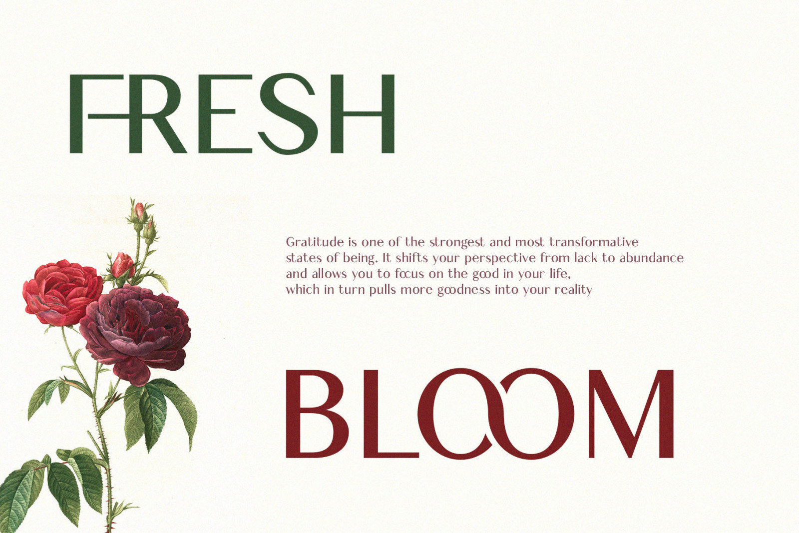 Cheryl Ligature Sans-Serif. Cheryl Ligature Sans-Serif.