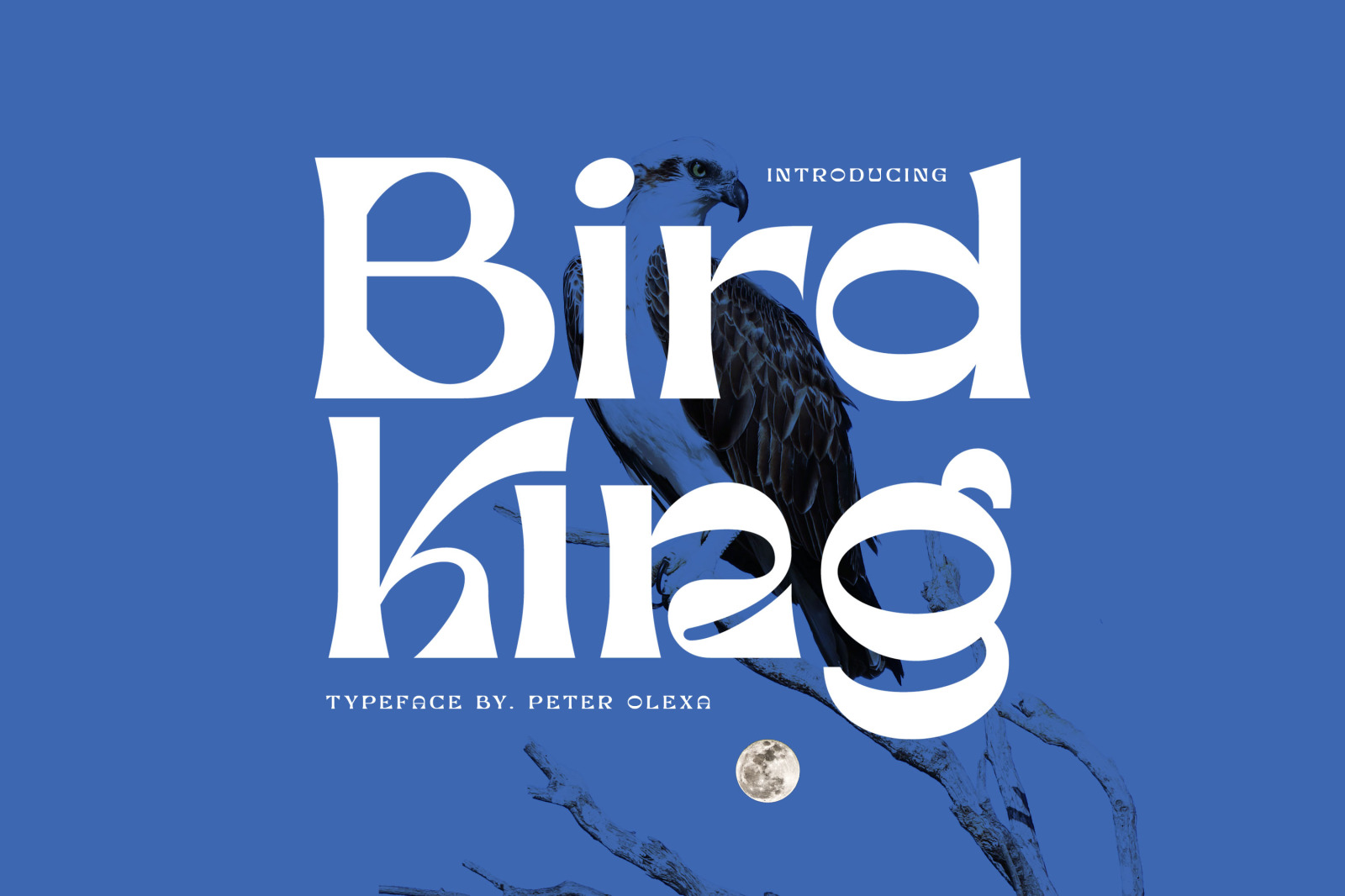 Bird King Retro Serif