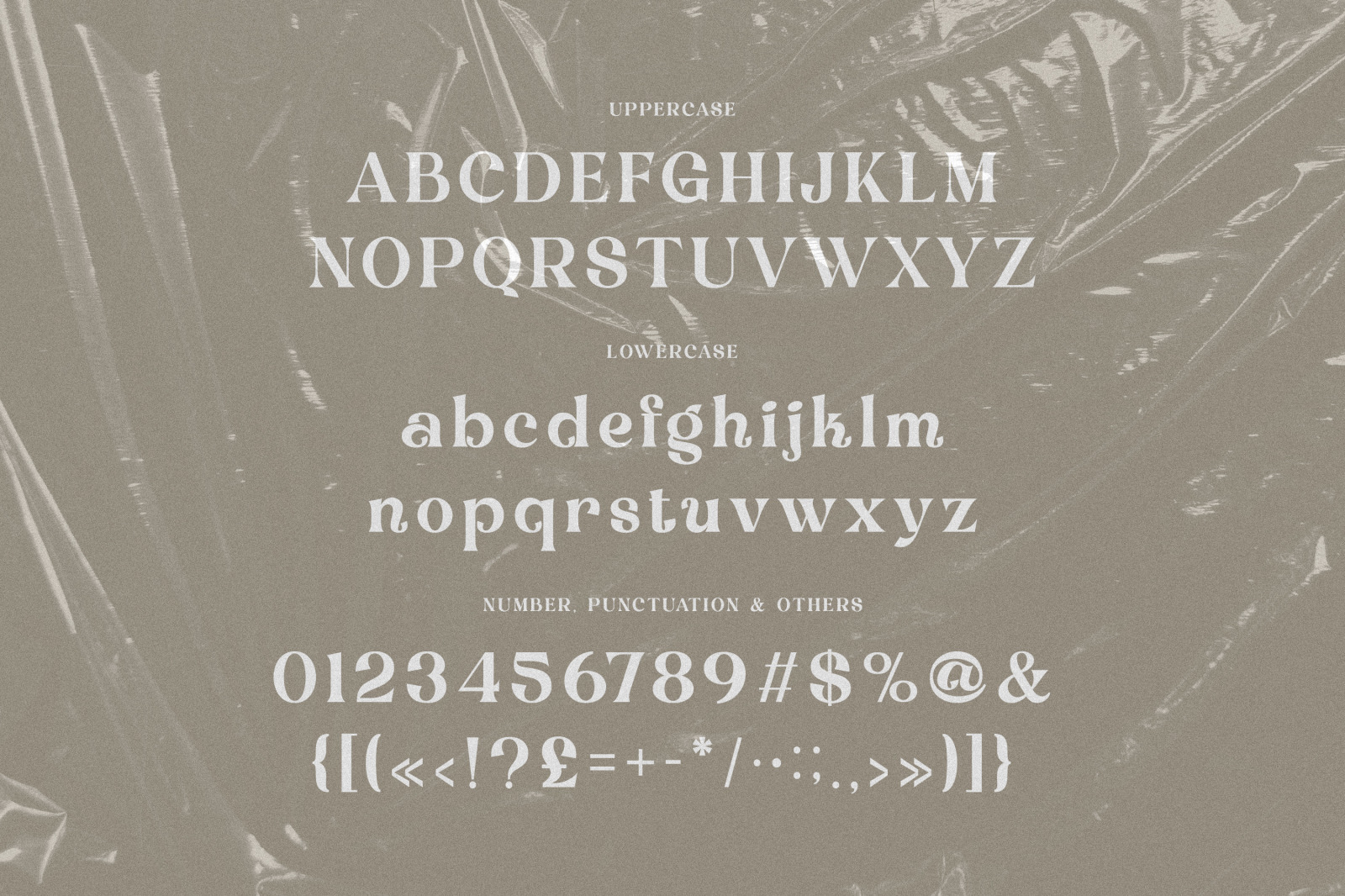 Debrian Decorative Serif Debrian Decorative Serif