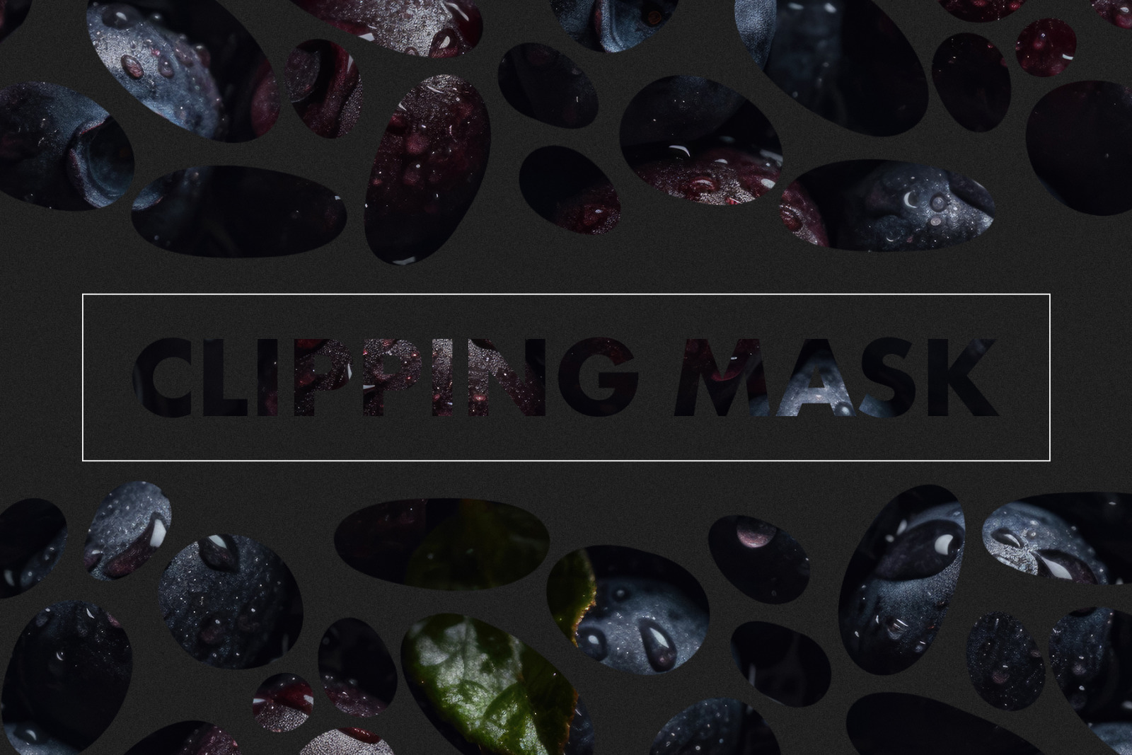 Seamless Fresh Berries Texture Pack Seamless Fresh Berries Texture Pack