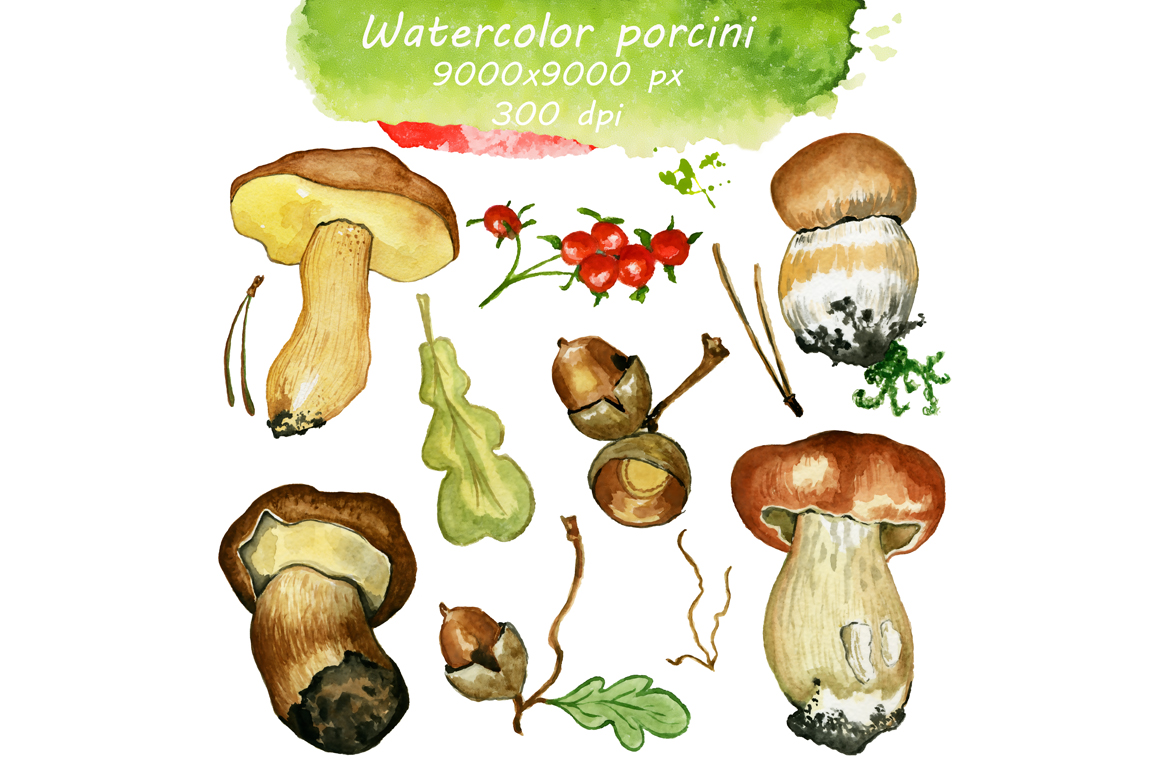 Watercolor rustic set with Mushrooms