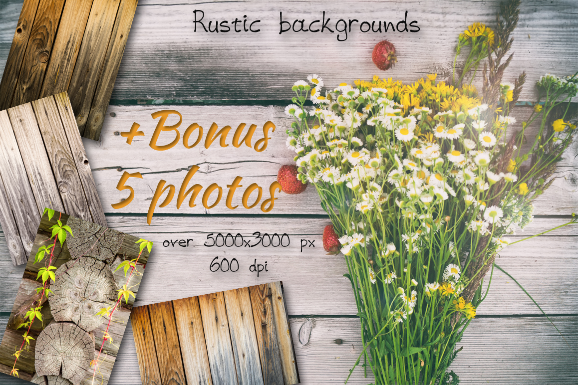 Watercolor rustic set with Mushrooms Watercolor rustic set with Mushrooms