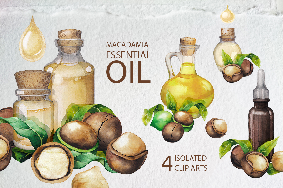 Watercolor Macadamia collection Watercolor Macadamia collection
