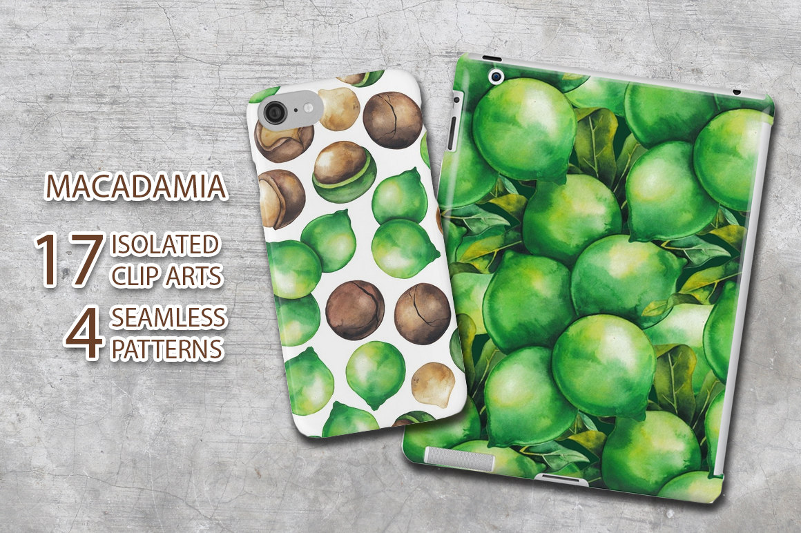 Watercolor Macadamia collection Watercolor Macadamia collection