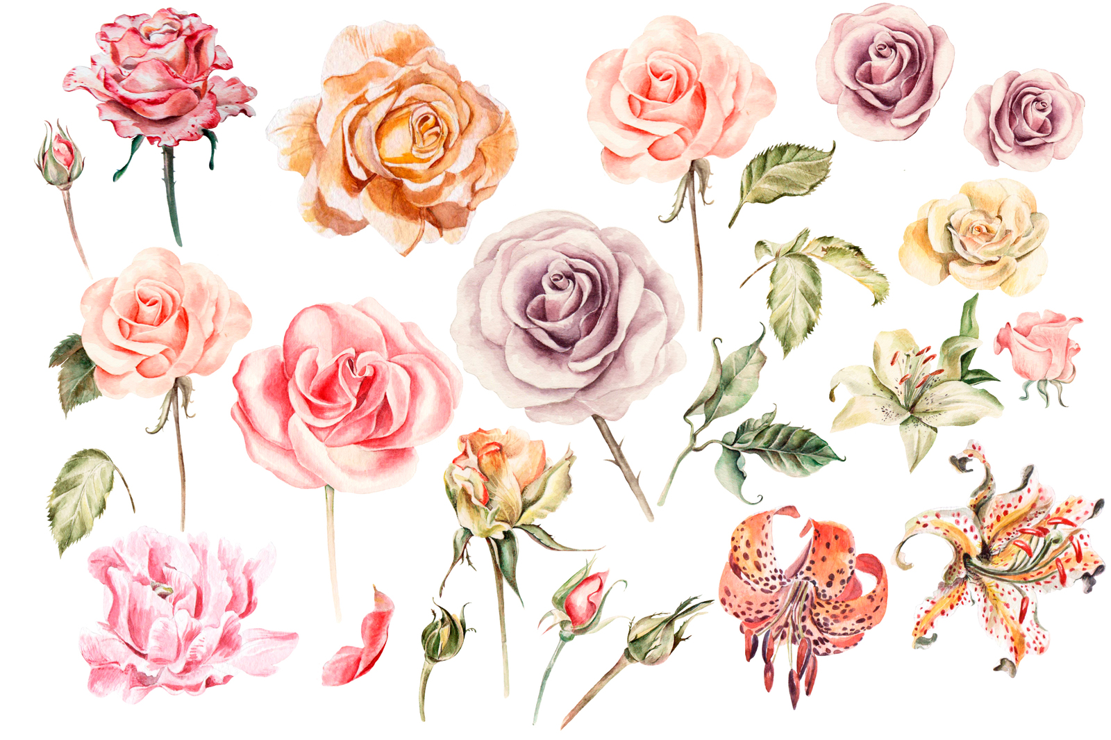 Hand Drawn Watercolor Bundle FLOWERS Hand Drawn Watercolor Bundle FLOWERS