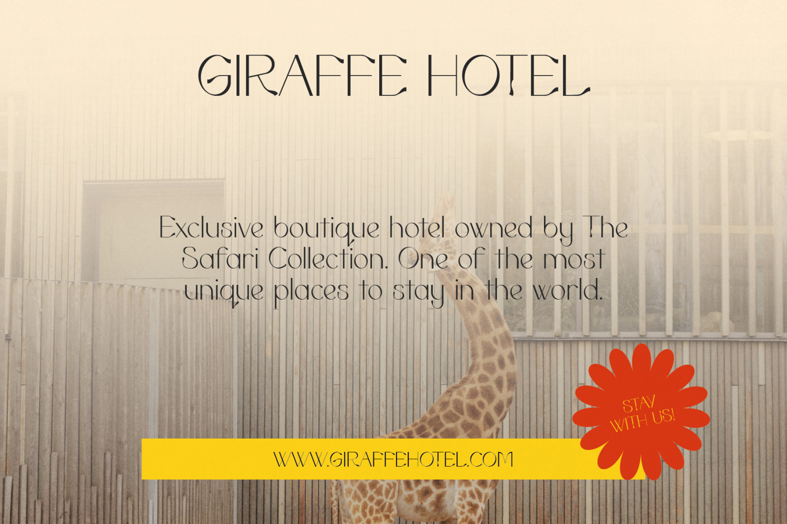 Swanky Special - Fancy Sans Serif Swanky Special - Fancy Sans Serif