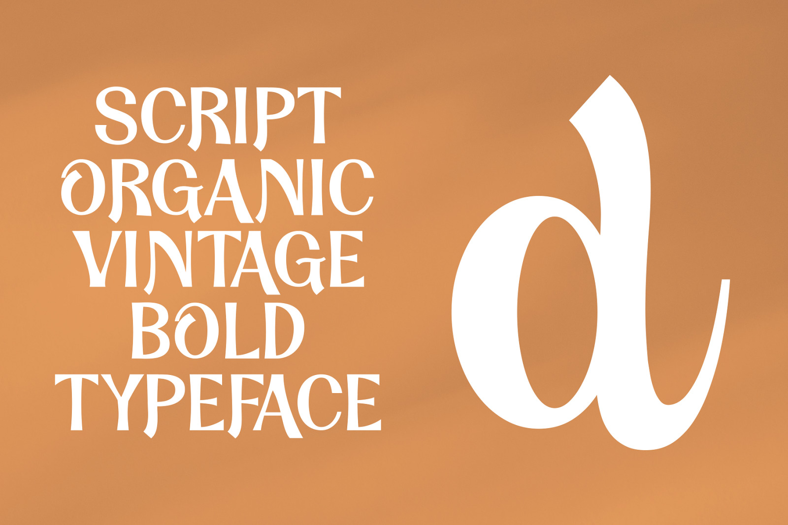 Dandy Script Typeface