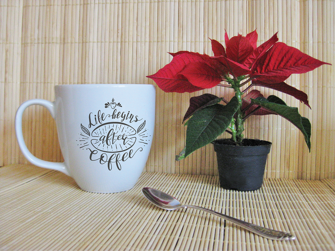 Set of Quotes for coffee. Lettering. Set of Quotes for coffee. Lettering.