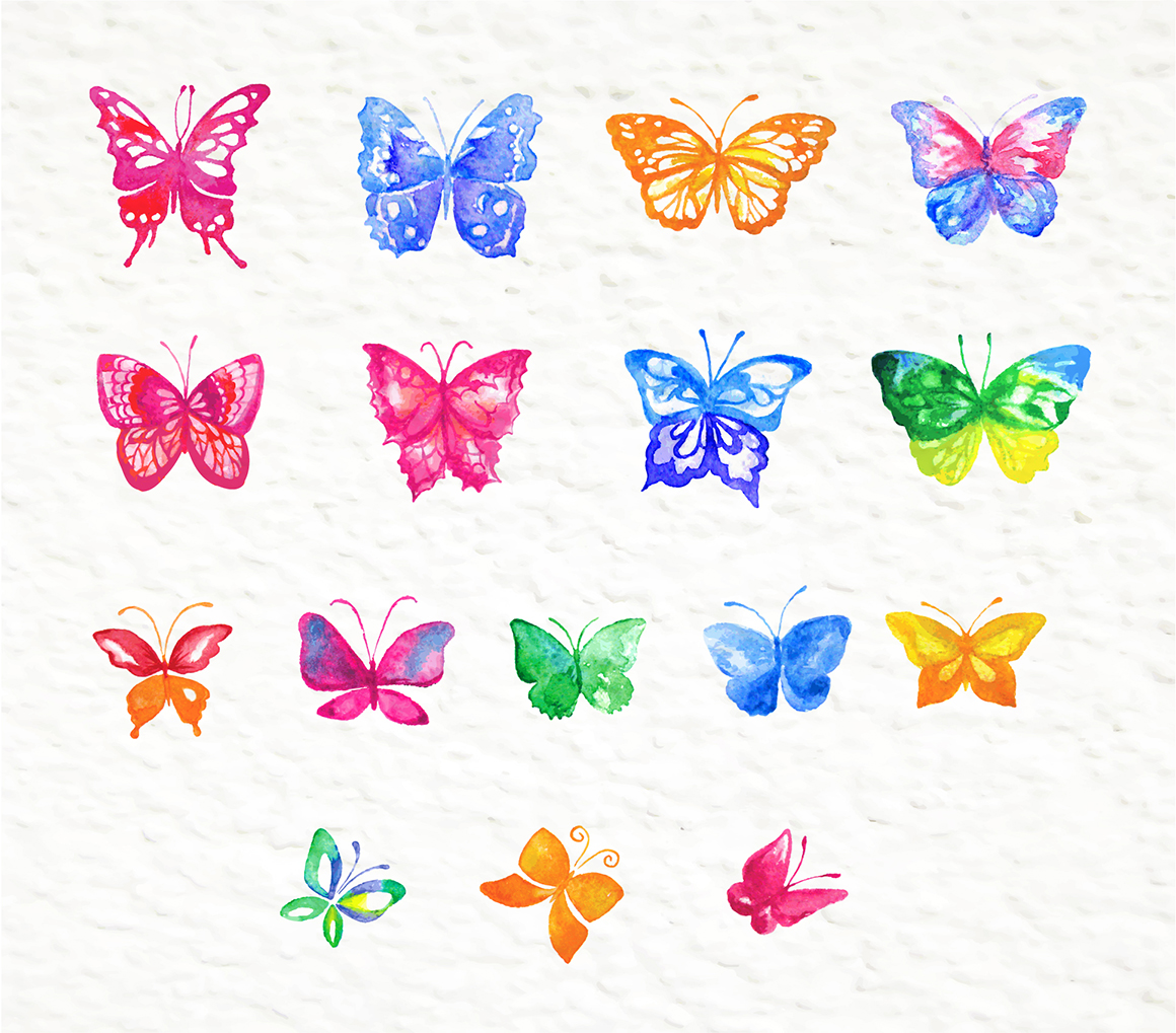 Watercolor floral design elements Watercolor floral design elements