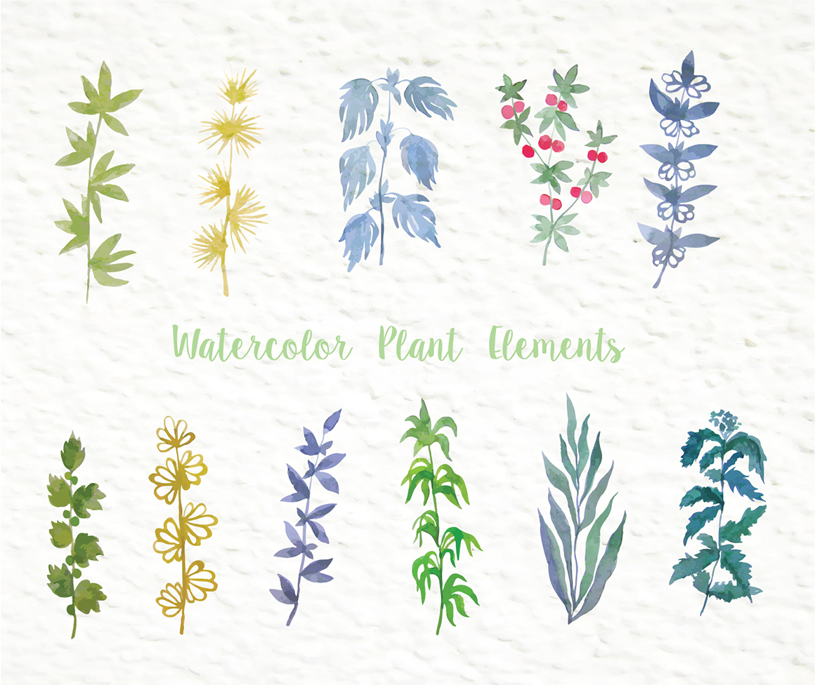 Watercolor floral design elements