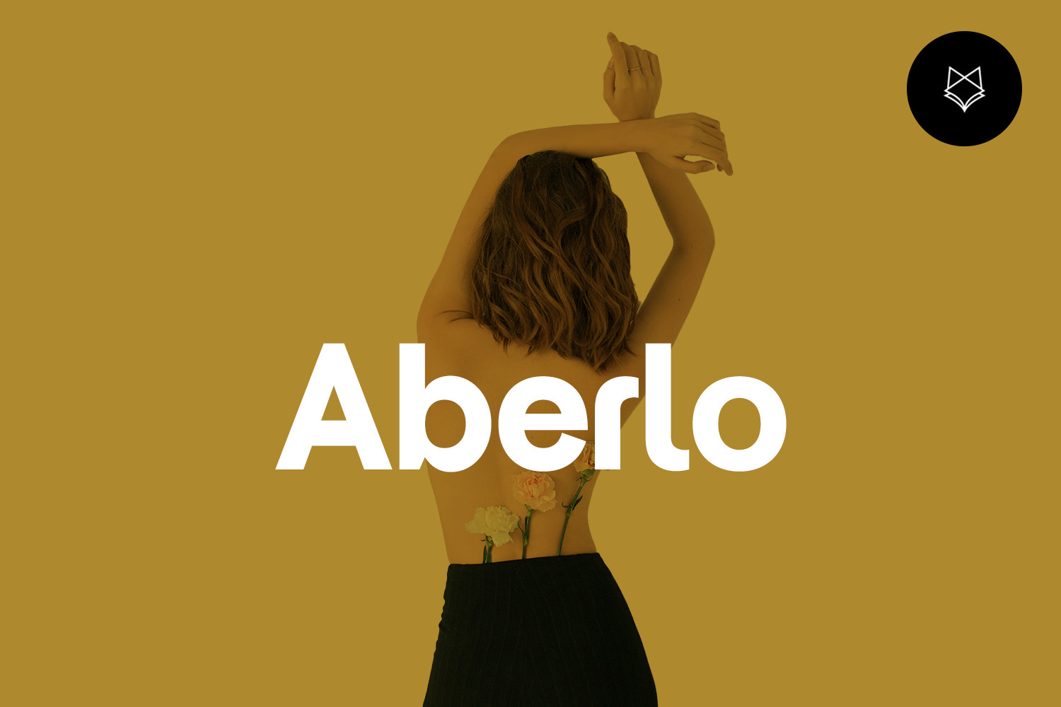 Aberlo Display Typeface