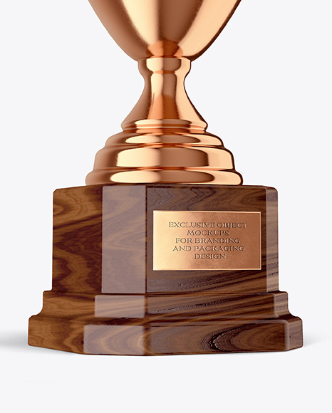 Bronze Champion Cup Mockup