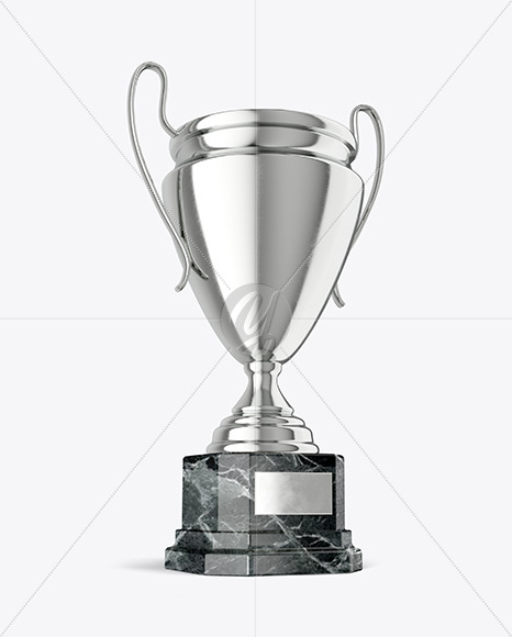 Silver Champion Cup Mockup