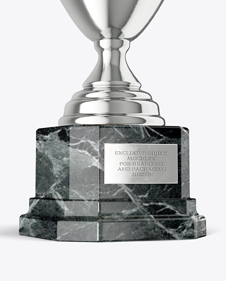 Silver Champion Cup Mockup