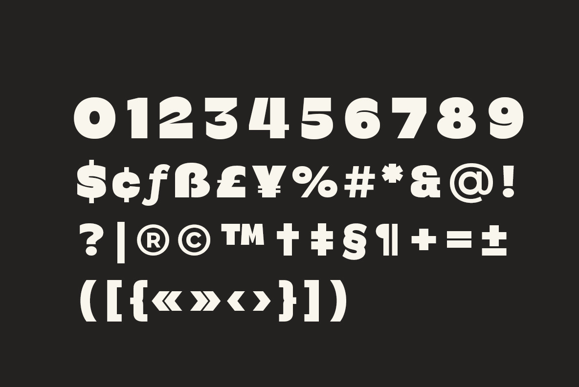Bermia Display Font Bermia Display Font